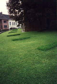 cb_b.jpg